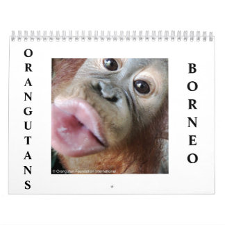 Orangutans Calendar
