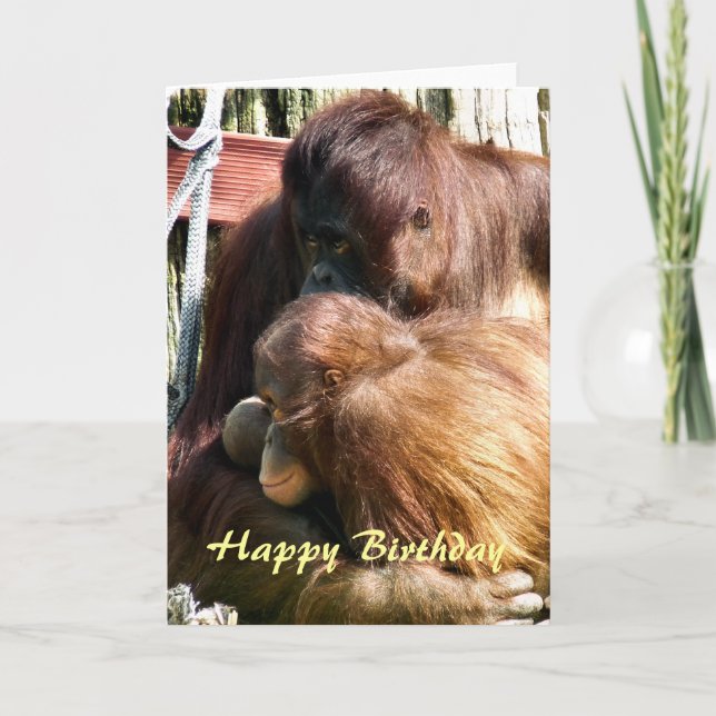 ORANGUTANS CARD (Front)