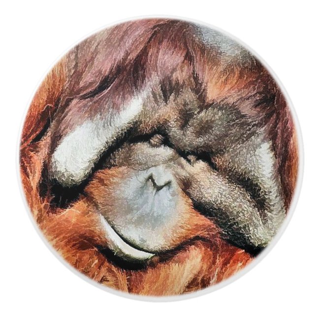 ORANGUTANS CERAMIC KNOB (Front)