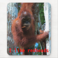 Orangutans  I like redheads