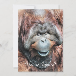ORANGUTANS INVITATION