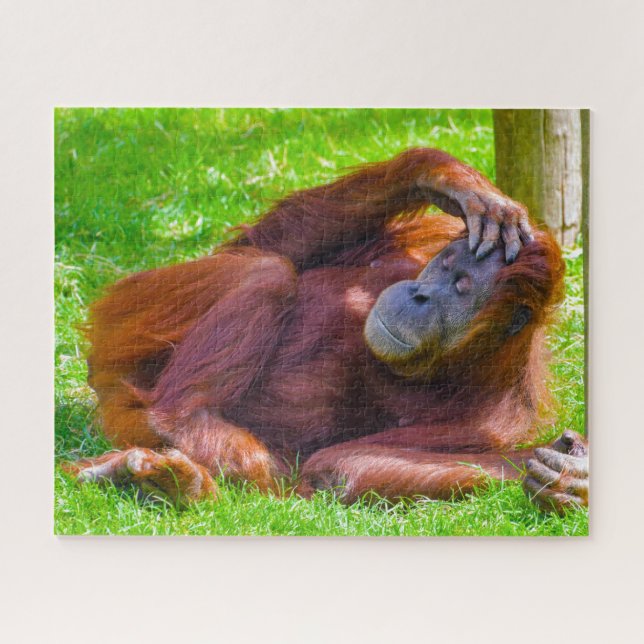 Orangutans. Jigsaw Puzzle (Horizontal)