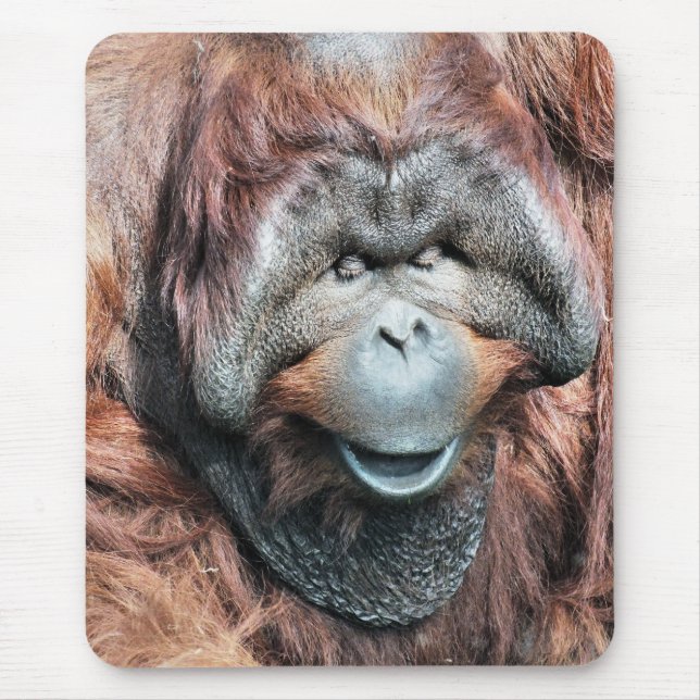 ORANGUTANS MOUSE PAD (Front)