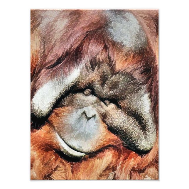 ORANGUTANS PHOTO PRINT (Front)