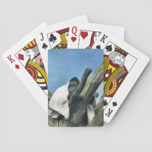 ORANGUTANS PLAYING CARDS