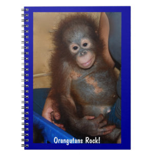 Orangutans Rock Spiral Notebook