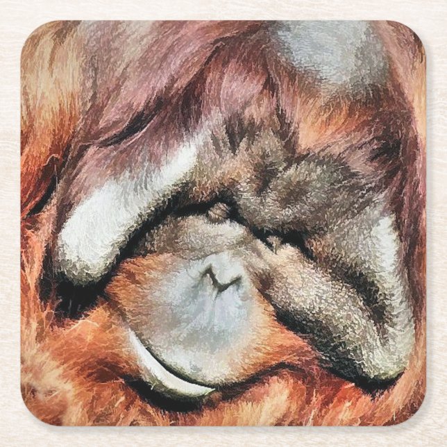 ORANGUTANS SQUARE PAPER COASTER (Front)