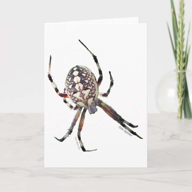 Orb Spider Card (Front)