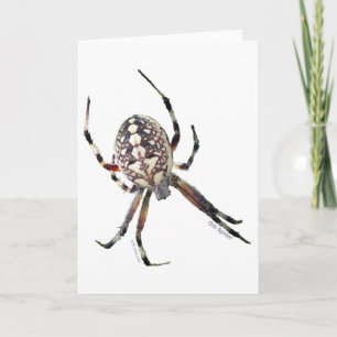 Orb Spider Card