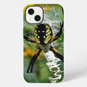 Orb Spider in Web iPhone 13 Case