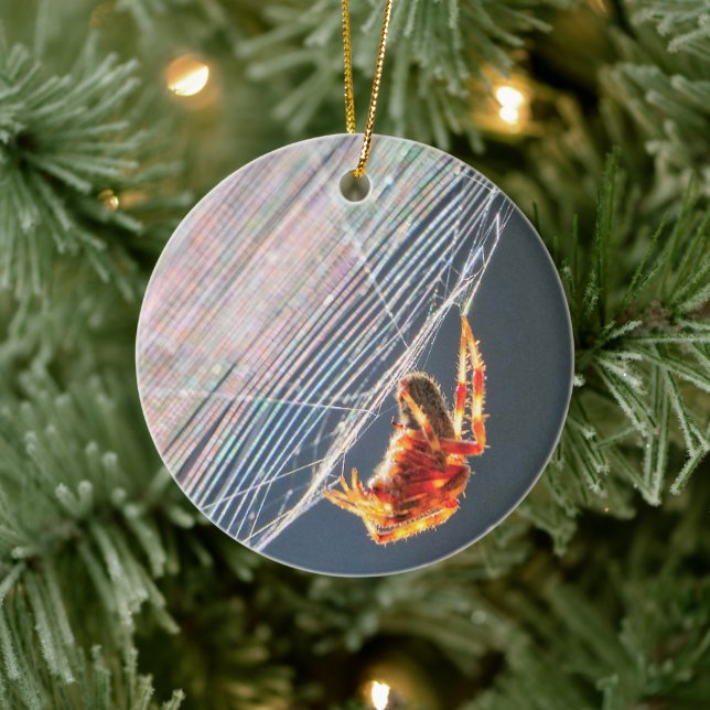 Orb Spider on Web  Ceramic Tree Decoration (Tree)