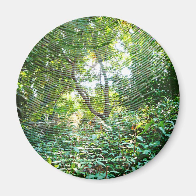 Orb Spider Web - Magnet (Front)