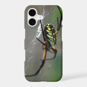Orb Weaver Spider Close Up Phone Case