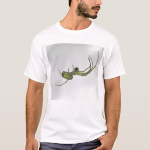 Orb Weaver Spider T-Shirt