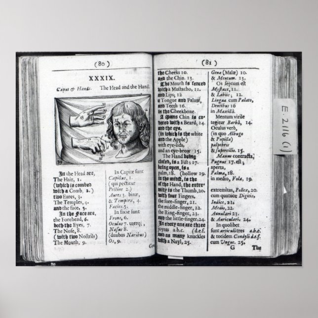 'Orbis Sensualium Pictus' Poster (Front)