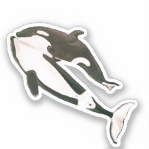 Orca 