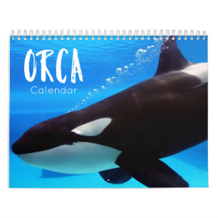 orca 2023 calendar funny & cute orcas