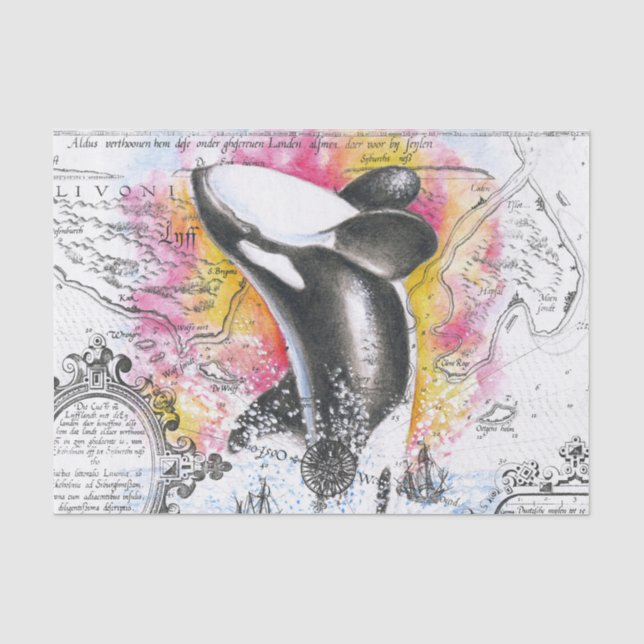 Orca Ancient Rainbow Map Tissue Paper (Front)