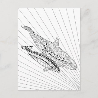 Orca And Baby Adult Colouring Postcard
