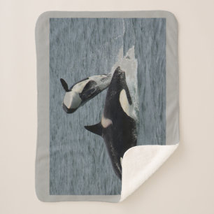 Orca And Calf Sherpa Blanket