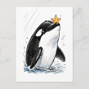 Orca Balancing Starfish Playfully Marine Ink Illus Postcard