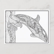 Orca Black and White Postcard