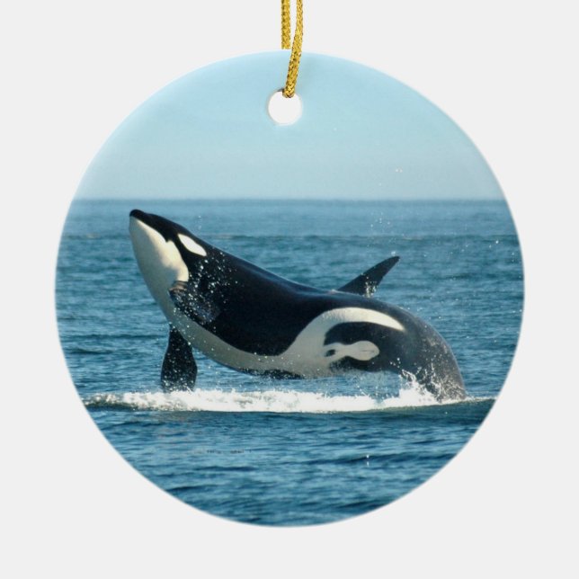 Orca Breach Ornament (Front)