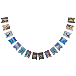 Orca Bunting Banner