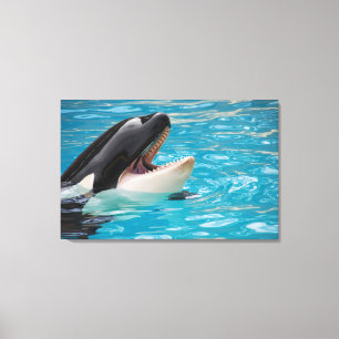 Orca canvas print