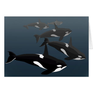 Orca Cards Personalise Killer Whale Art Cards
