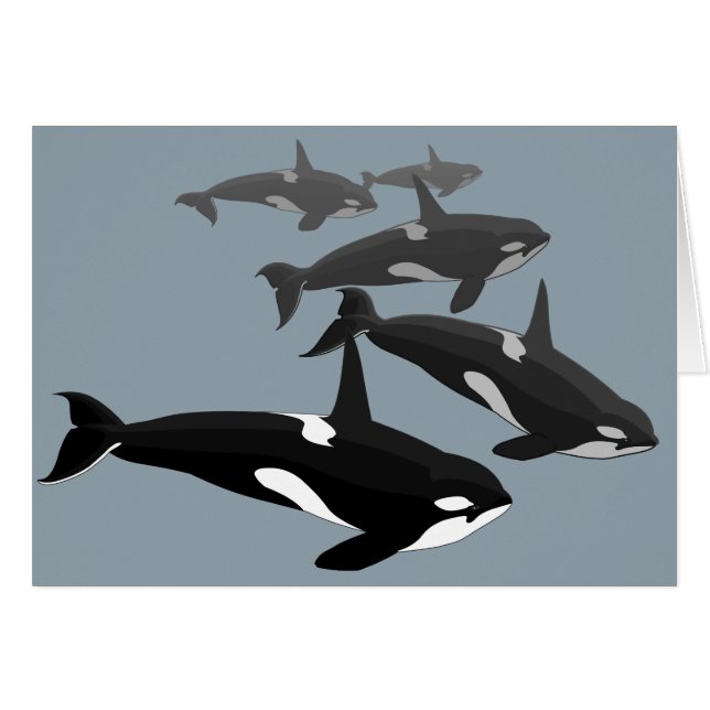 Orca Cards Personalised Killer Whale Art Cards (Front Horizontal)