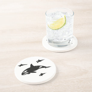 Orca Coaster