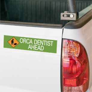 Orca Dentist Ahead Bumper Sticker