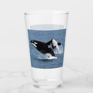 Orca Glass