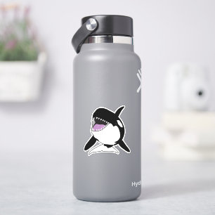 Orca Killer Whale
