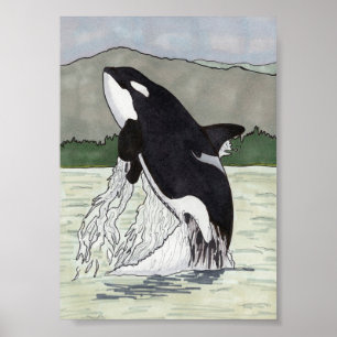Orca / Killer Whale 5x7 Poster