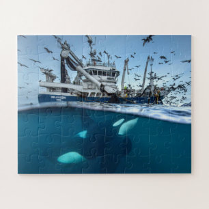 Orca Killer Whale Commercial Fishing Boat Ocean Jigsaw Puzzle