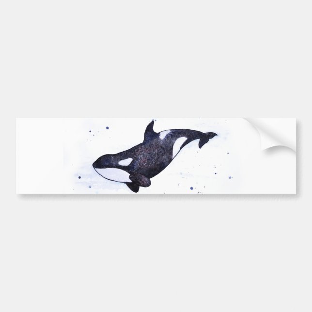 Orca Killer whale illustration Bumper Sticker (Front)
