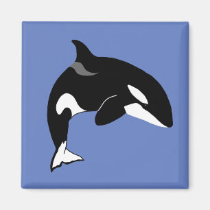 Orca Killer Whale  Magnet