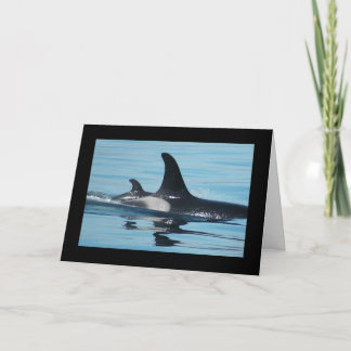 Orca/Killer Whale Mother's Day Card