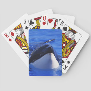 Orca Killer Whale Playing Cards