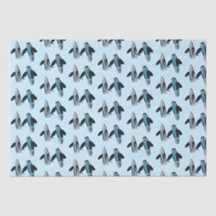 Orca / Killer Whale Tissue Paper