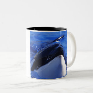 orca.Killer Whale Two-Tone Coffee Mug