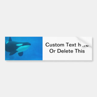 orca killer whale underwater blue bumper sticker
