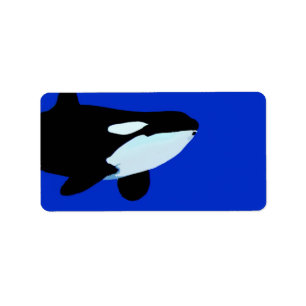 orca killer whale underwater graphic label