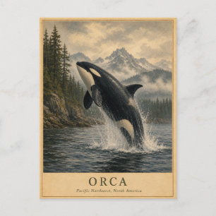 Orca Pacific Northwest VINTAGE Postcard