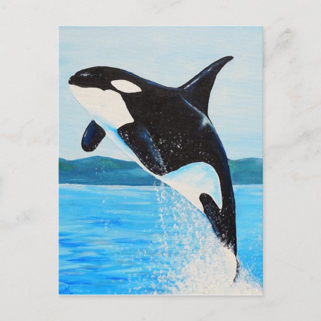 Orca Painting Postcard (Front)
