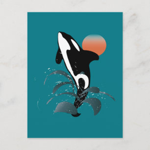 Orca Postcard
