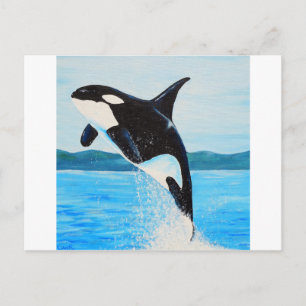 Orca Postcard