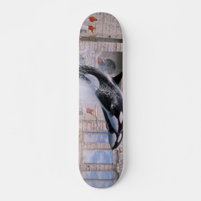 Orca Skateboard (Front)